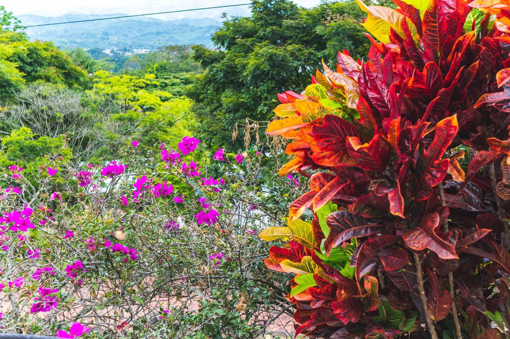 Villeta Resort Hotel エクステリア 写真